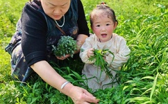 97人妻久久久精品系列A片